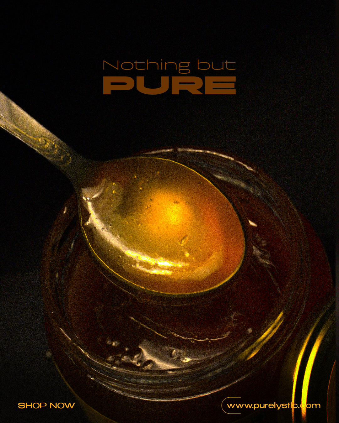 Wild Forest Honey (400 Gm) - Image 3